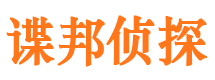 平罗市场调查